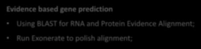 EST and known proteins to the genome, then train a prediction model; Run ab initio gene prediction tool; Evidence