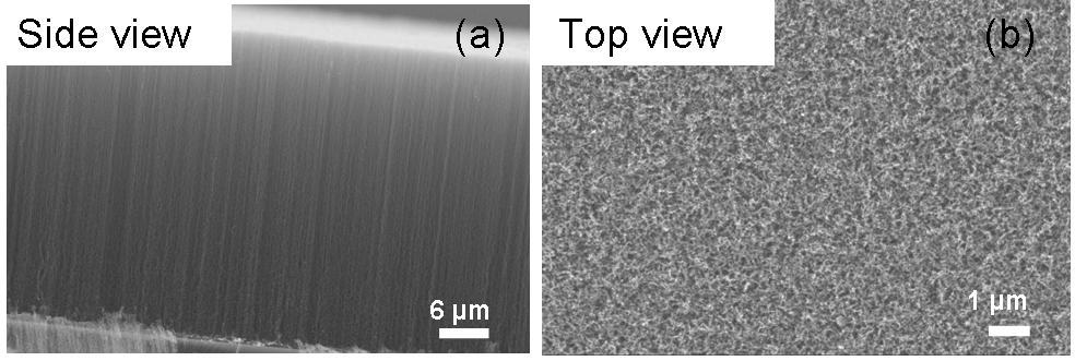 Figure S1: SEM images of (a) side (b) top viewsem images VANTA grown on Si(100) and (c) TEM image of a CNT from VANTA samples.