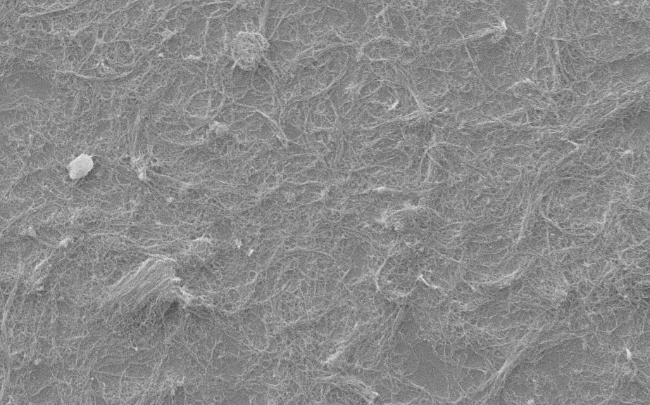 Figure S3: SEM images of bundled CNT clusters dispersed in water dried on Si