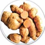 Sweet Potato: Bhu Sona (Pure line variety) β-carotene 14.0 mg/100g High β-carotene (14.0 mg/100 g) content as compared to 2.0-3.0 mg/100 g β- carotene in popular varieties Tuber yield: 19.