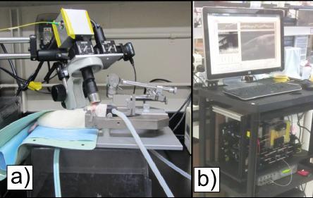 32 Figure 21: a) Image of SD-OCT scanner set up in animal surgery suit. b) Image of spectrometer, light source and interferometer with a computer monitor set up next to bench top experiment.