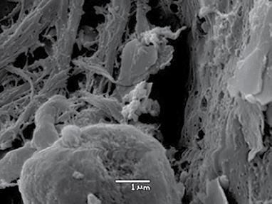 DRY SURFACE BIOFILMS Recent ground-breaking research has discovered that biofilms also proliferate on dry surfaces as well as the previously known wet surfaces.