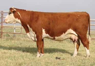118 Polled 99% 6.2 0.9 45