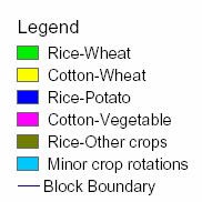Fallow-Wheat Minor Crop Rotations