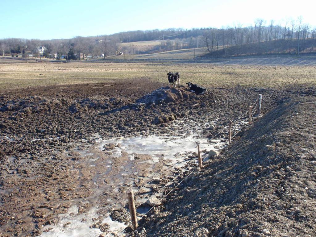 MANURE STOCKPILES: Manure Stacking Areas / Stockpiles have the potential to contribute excessive