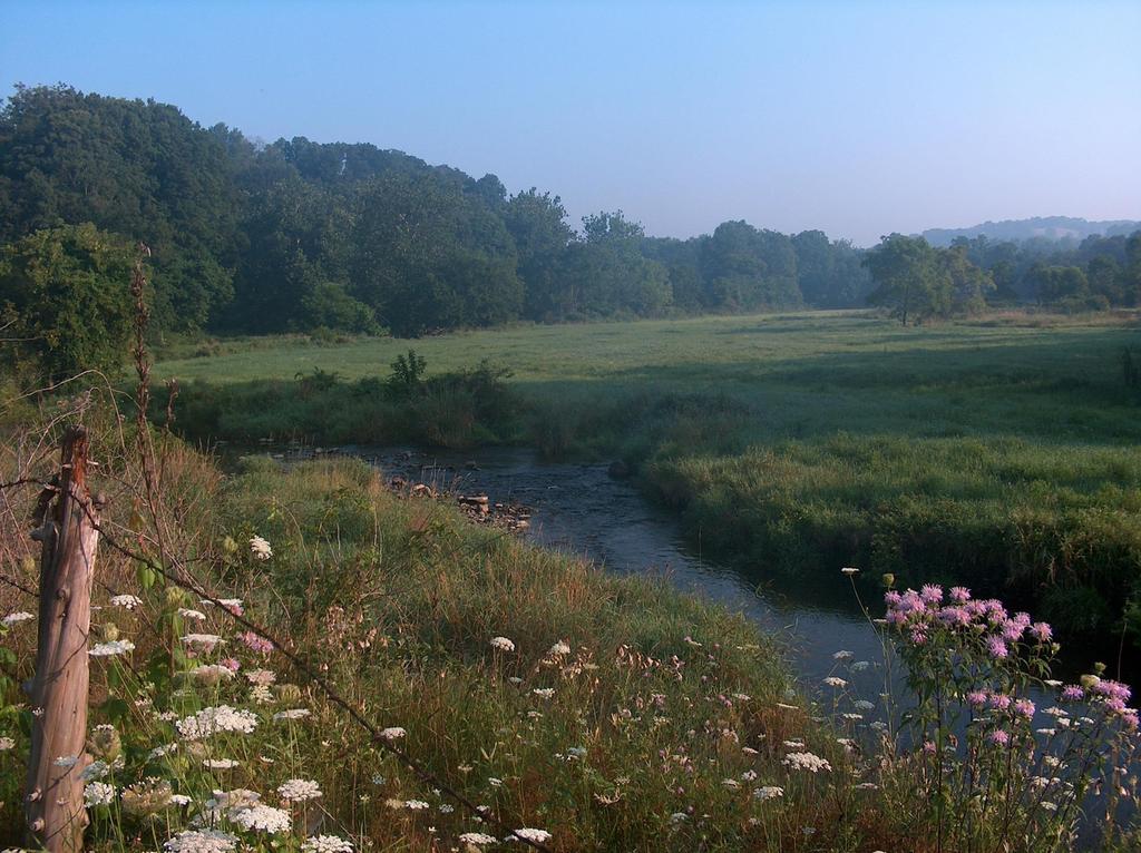 What is a Watershed Restoration Plan?