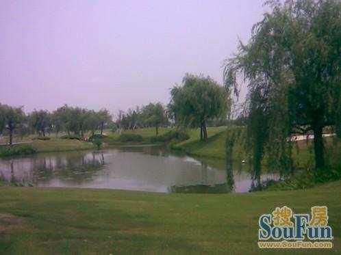 Tianma Golf Club The Golf Club is near Seshan,Songjiang district.