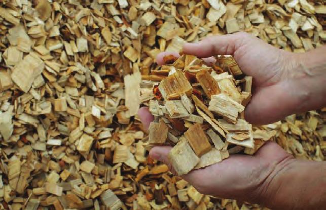 (Mech anical) Wood Pulp (KRAf t Pro cess) Uses hardwood trees such as aspen and birch and softwood trees, such as