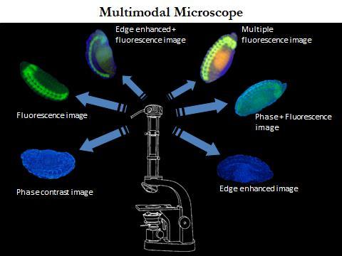 Drug Discovery and Therapy World Congress 216 61 SL-28 Track: Pharmaceutical Research & Development OPTICAL FOURIER PHASE CONTRAST MICROSCOPY D.V.G.L.N. Rao University of Massachusetts, Boston, MA, USA; E-mail: Raod@umb.