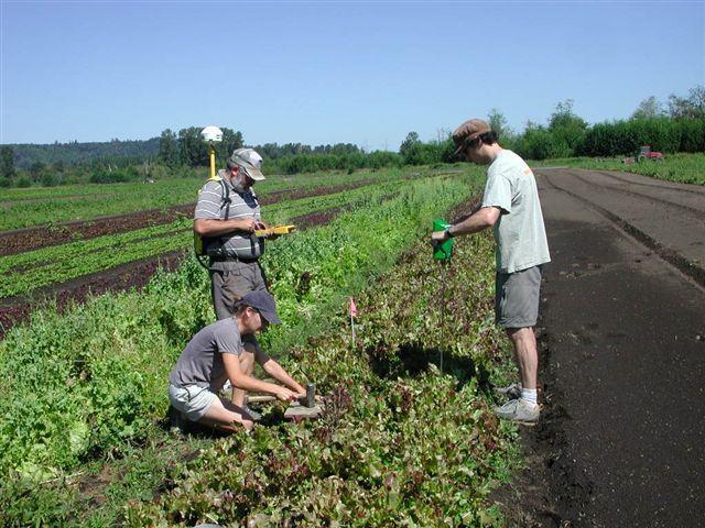 Soil quality measurements include physical, chemical, and biological indicators Bulk Density Infiltration Compaction