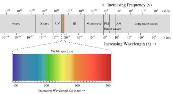 Using light absorption Many chemical compounds have specific absorbance characteristics at different wavelengths of light By