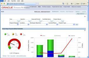 BI EE Plus Reporting Portal to view and update projects and portfolios.