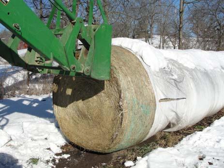 Successful Round Bale Silage 1 (Tips from Windmill Cattle Co.