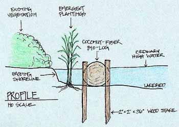 Shoreland Mitigation Options Bio or Fiber Logs Replace