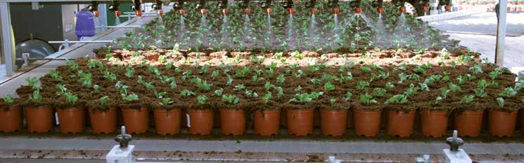 For some 20 years now, the continuously innovating Visser Space-O-Mat system has become a common concept in potplant nurseries but also increasingly in tree nurseries with container cultivation