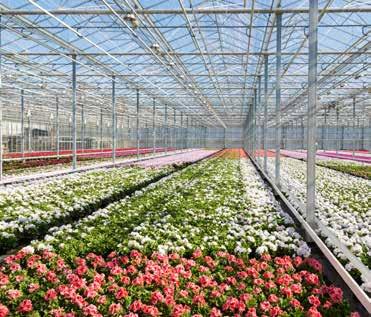 Visser Horti Systems is part of the Viscon Group.