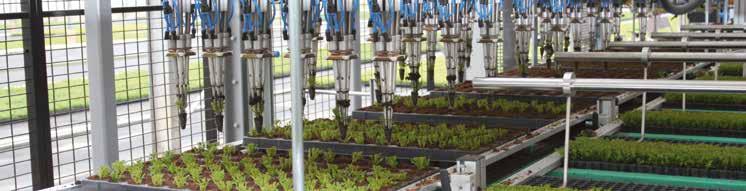 Visser has more than 25 years of expertise in automatic planting operations and has developed a very wide range of models for both small and large nurseries, for planting into both