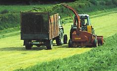 18 High quality silage of 70-75 DMD is required for finishing cattle Seasonal Grazing Management Calendar Turnout on Silage Ground * Animal performance is improved by 10-15kg liveweight.