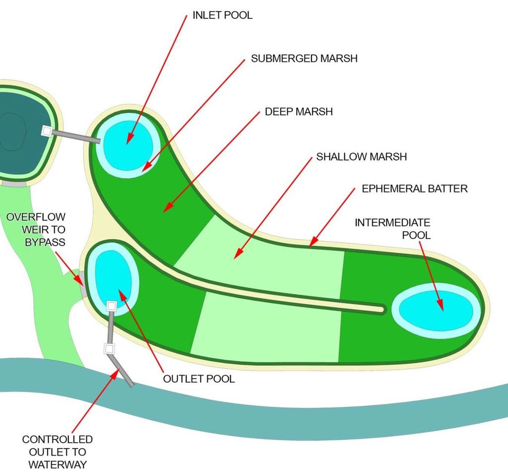 pool. The key features of a macrophyte zone