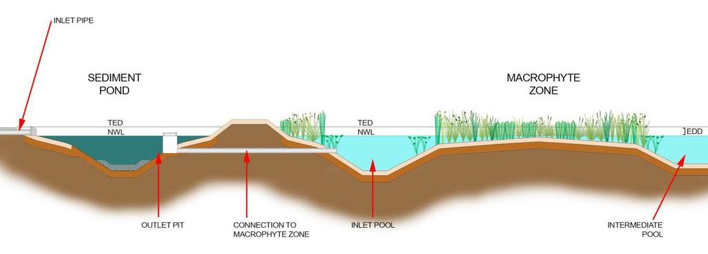 Figure 2 Indicative section of a typical wetland