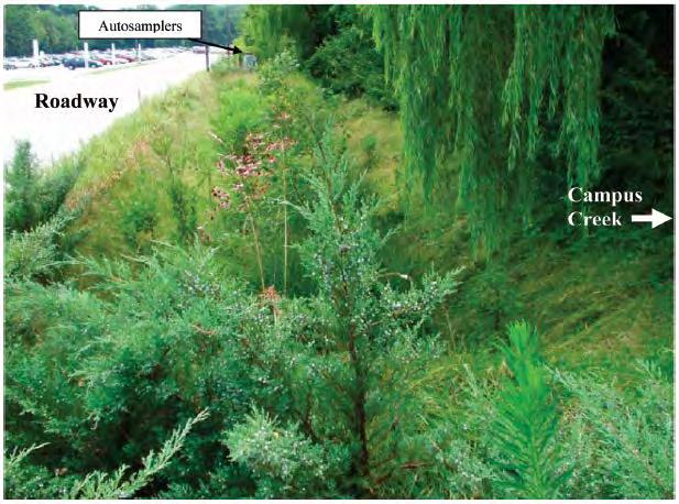 PAH Runoff from impervious surface and bioretention Dissolved PAHs: 1-4 ng/l in runoff Bioretention can be effective