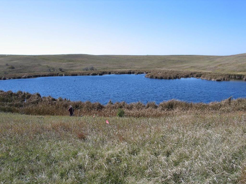 Prairie Pothole Wetlands:
