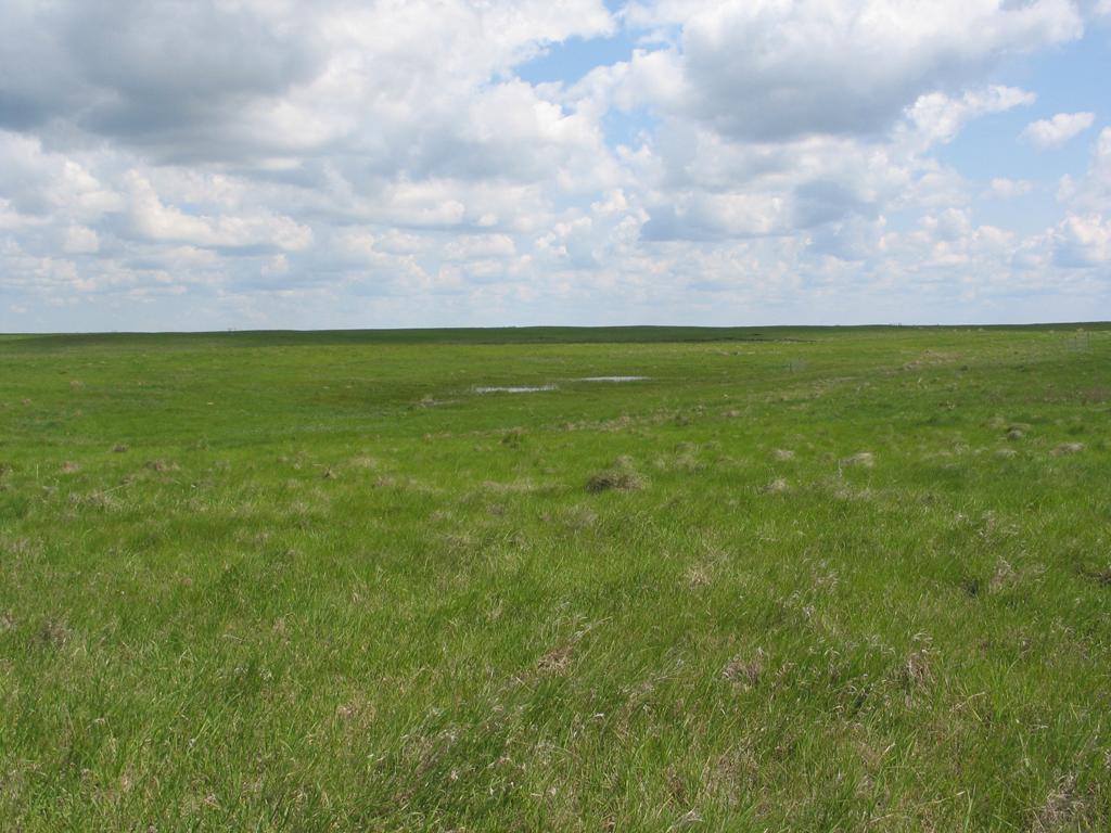 Outline I. Prairie Pothole Region (PPR) II. PPR wetlands III.