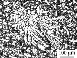 (a) (b) (c) Figure 1. Typical microstructure at the central region of AM60 magnesium alloy die castings using OM (a), EBSD (b) and SEM (c).