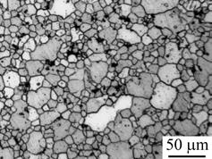Simulated (a-c) and experimentally observed (d-f) microstructure of AM60 magnesium alloy at the surface layer (a, d),