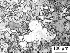 experimentally observed microstructure of AM60 magnesium alloy at the surface layer, one-fourth thickness and the