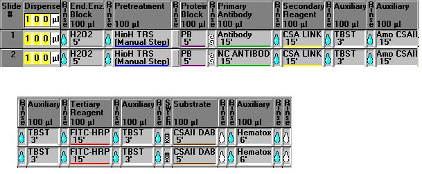 STEP 8 PROCEED WITH COUNTERSTAIN AND MOUNTING Dako Autostainer Programming Grid for CSA II The programming grid above is a DakoCytomation Protocol Template containing protocol elements to run CSA II.