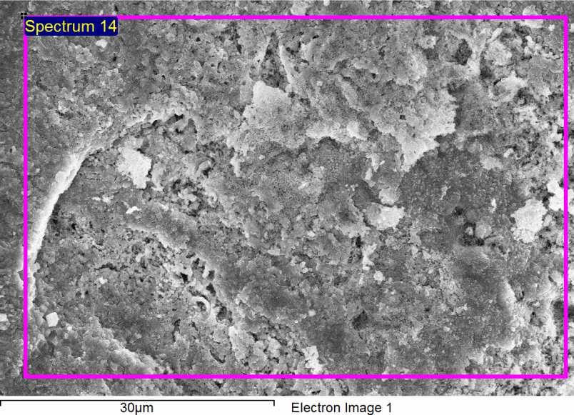 SEM/EDS results of Al 2 O 3-4 TiO 2 coated Inconel-625 after exposed in K 2 SO 4 