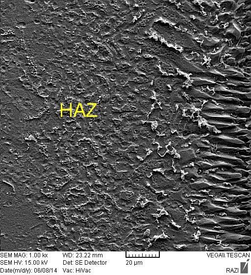 Scanning electron microscopy (SEM) of microstructure of the area affected by stainless steel 36 L heat with filler metal 39L