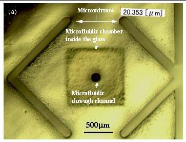 of microfluidics and microoptics Cheng
