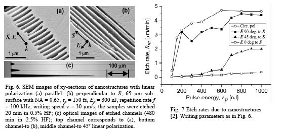Fs laser fabrication of microchannels and nanogratings in