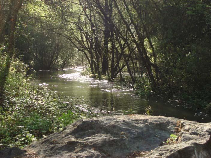 San Leandro Creek Flows No impacts to creek during construction Will maintain current flows