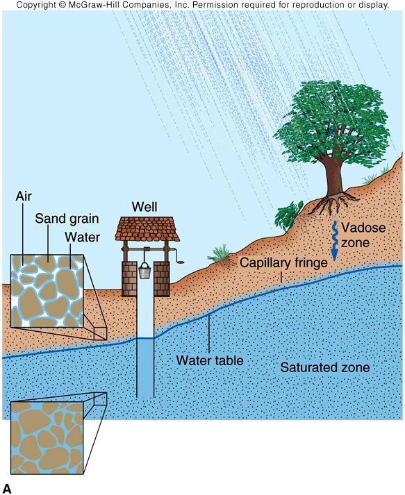 water table! top of saturated zone! saturated zone! zone in subsurface where! all pore space is filled! with water! vadose zone! zone in subsurface above! water table that! is unsaturated!