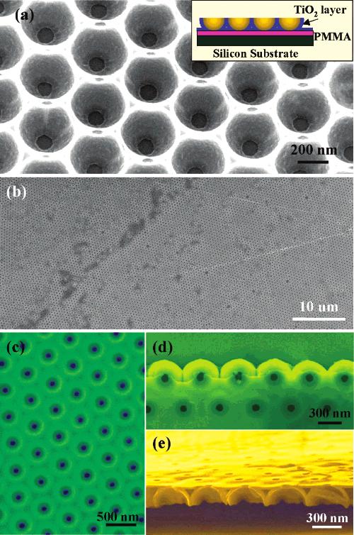 Figure 1. (a) A SEM image of TiO 2 nanobowl arrays on a PMMA layer. Inset: schematic of the modified configuration for fabricating free-standing nanobowl sheets.