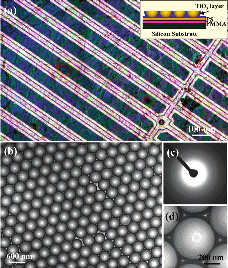 Figure 2. (a) Optical image of a copper TEM grid covered by a large-area nanobowl sheet. Inset: schematic of the modified configuration for fabricating stable large-area nanobowl sheets.