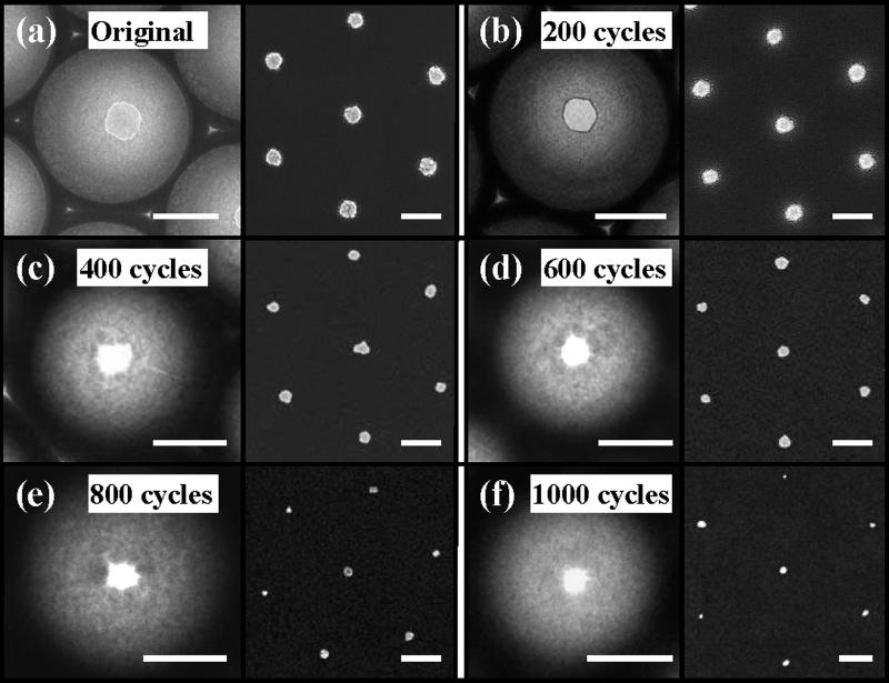 Figure 4. TEM images of the nanobowls after additional ALD growth of 0 (a), 200 (b), 400 (c), 600 (d), 800 (e), and 1000 (f) cycles.