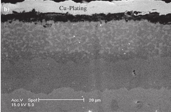 No scale cracking or spallation could be observed on the coated specimens during the oxidation tests (Fig. 9).