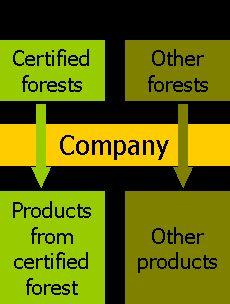 How forest certification schemes contribute to combat controversial sources Certified raw material certified raw