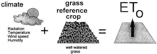 Crop coefficient: Kc Crop water use (ETc) is related
