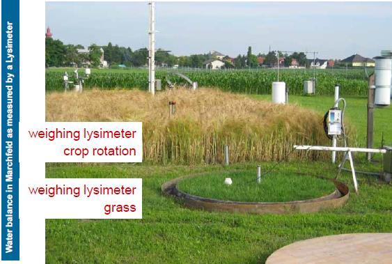 Measurement of ETc and ETo Reference evapotranspiration (ETo) represents the rate of evapotranspiration of green grass under ideal conditions, 8 15 cm tall, with
