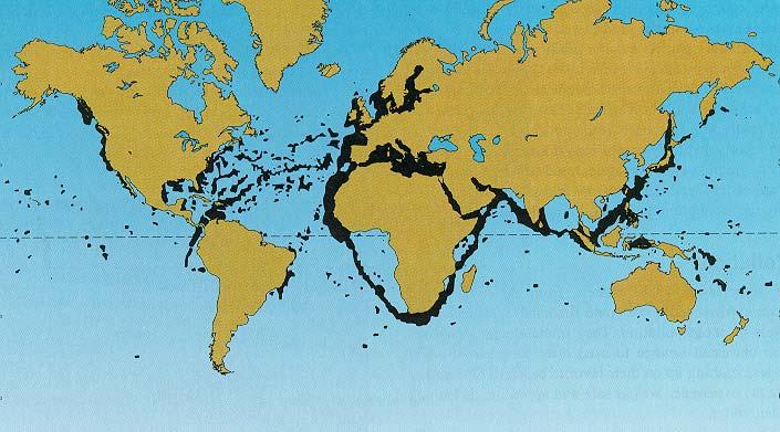 Types of Ocean Pollution 3.
