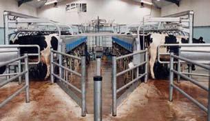 KOP/THEMA Parlour Control Fullwood has a wide range of milking parlours available from auto tandem, herringbone parlours, rapid exit side by side, to large rotary parlours with up to 100 stalls on
