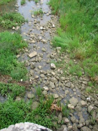 NOTE 1: In lowland streams with sandy or loamy substrates the diversity of substrates is restricted to smaller grain sizes.