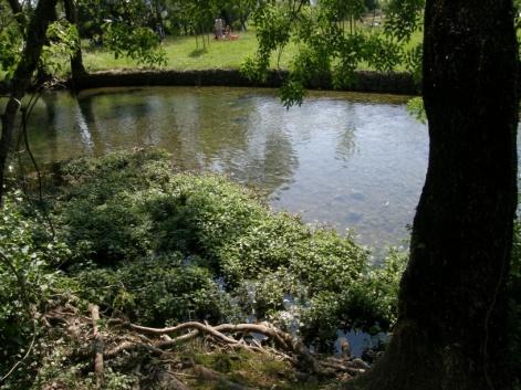Amount and size of woody debris greatly altered; regular active removal or addition.