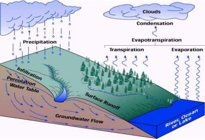 What is Groundwater? How does groundwater get in the earth? Where does it come from? Groundwater begins as rain or snow that falls to the ground. This is called precipitation.