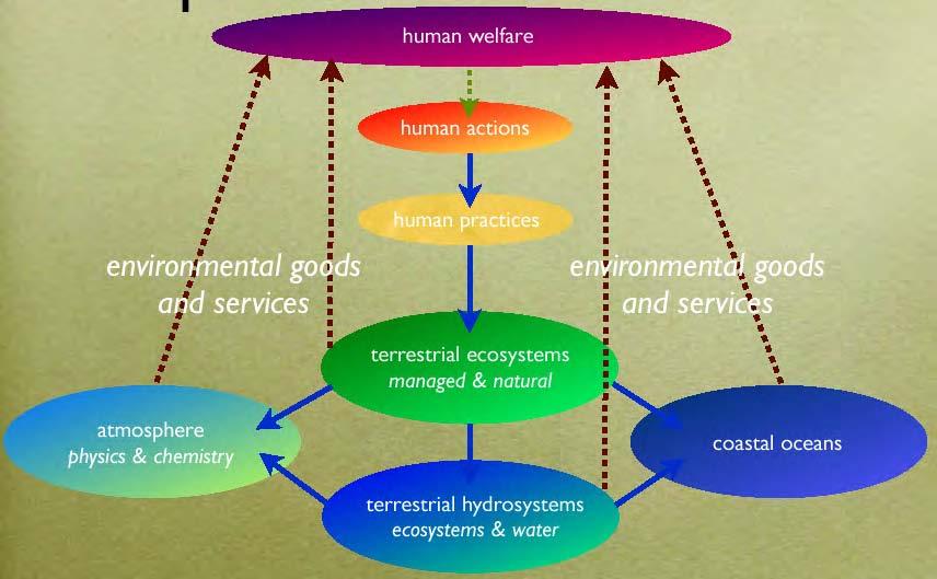 Earth System Framework Socio-economic Models Climate change Air pollution Climate change Air pollution Dynamic Global Vegetation Models Biophysical and Biogeochemical